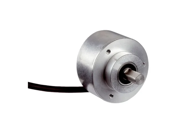 DFS60B-S4AL04800 - 1099653