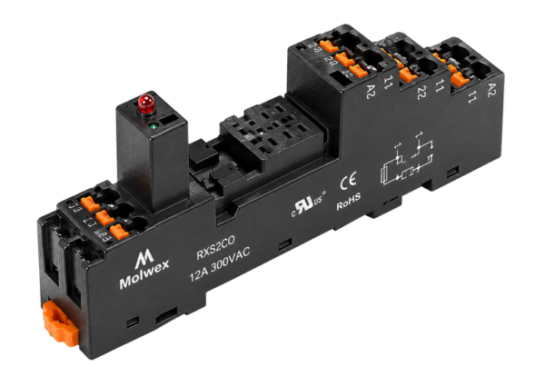 Molwex MS-PS2COST röle soketi 060 131 – Royal Endüstriyel